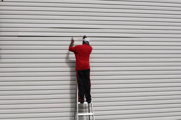 Best Siding Painting and Refinishing  in Larned, KS